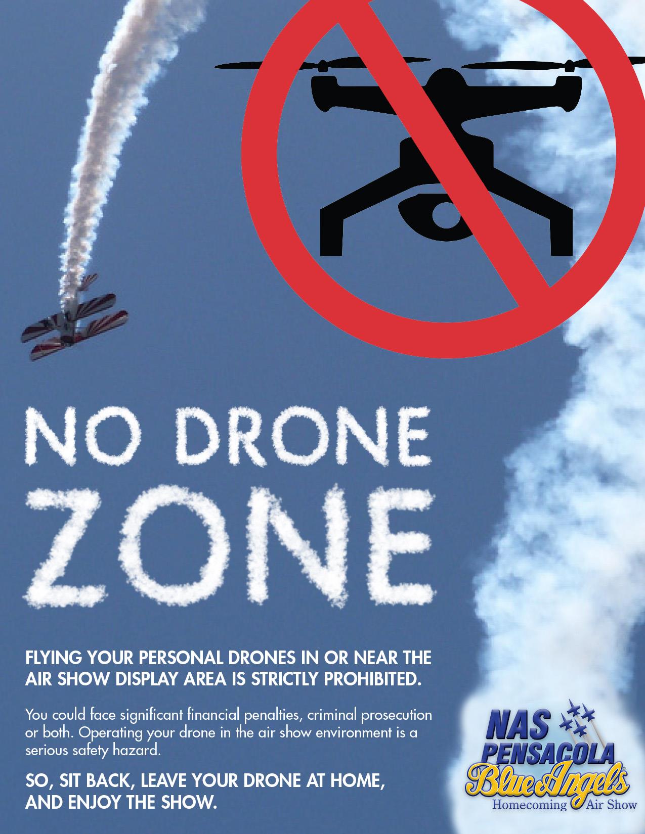 Blue Angels Air Show_NO DRONES.jpg